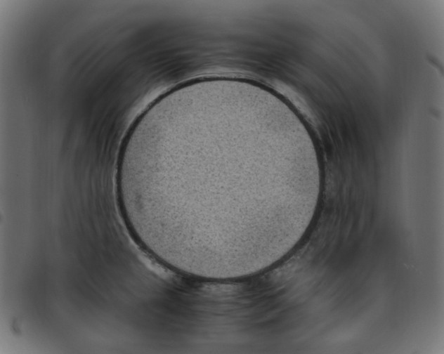 X0000096961237200803071043