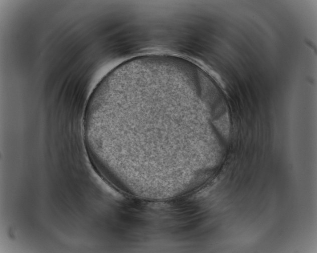 X0000096961239200803071043