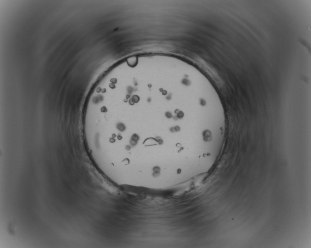 X0000096961240200803071044