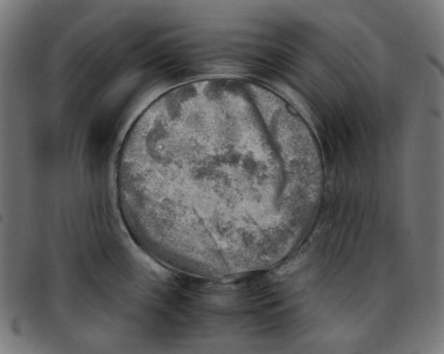 X0000096961243200803071044