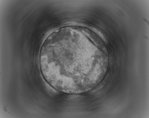 X0000096961247200803071044