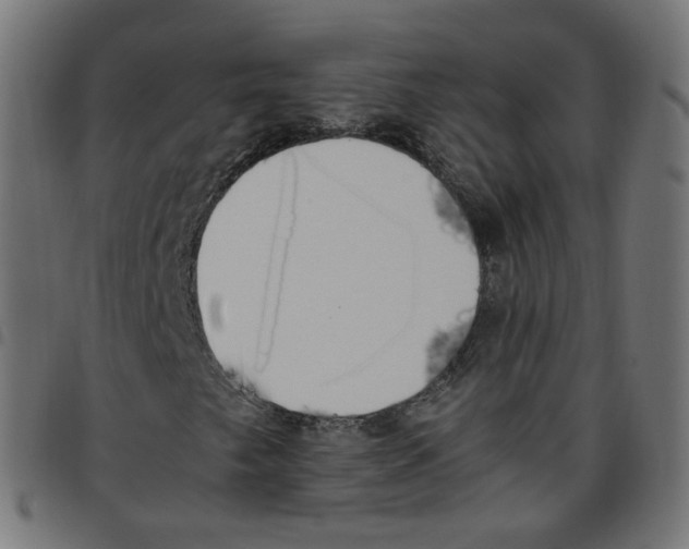 X0000096961249200803071043