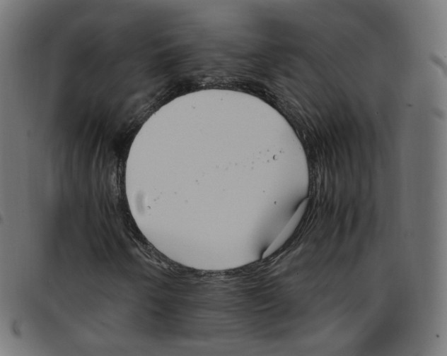 X0000096961250200803071043