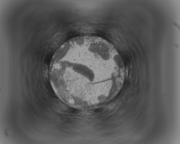 X0000096961251200803071043