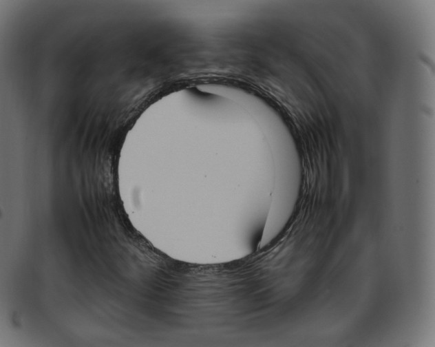 X0000096961252200803071043