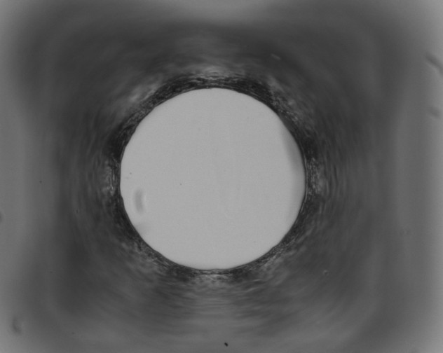 X0000096961253200803071043