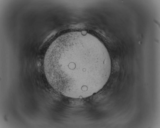 X0000096961254200803071043