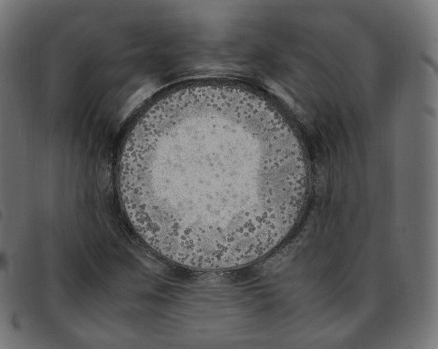 X0000096961259200803071043