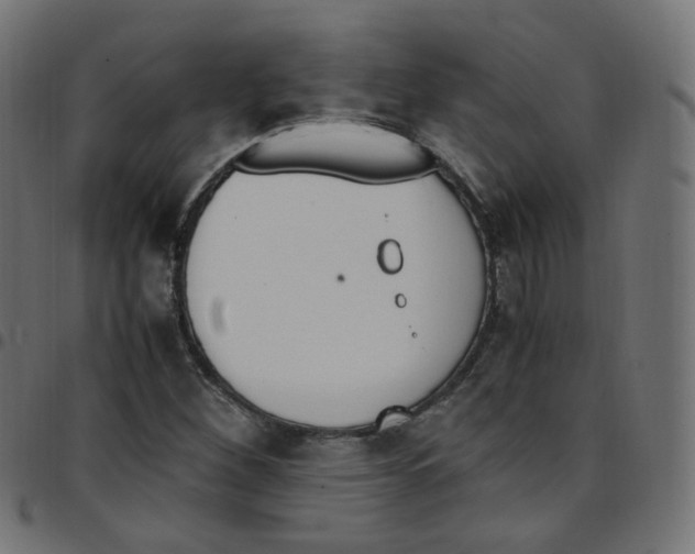 X0000096961260200803071043