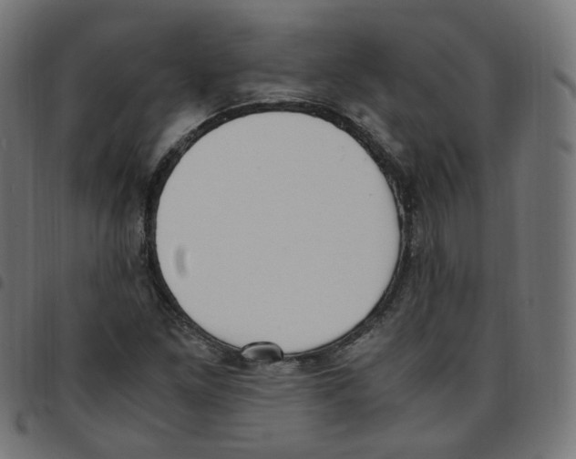 X0000096961261200803071043