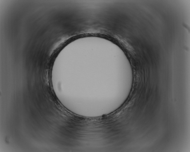 X0000096961262200803071043