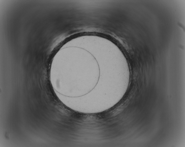 X0000096961263200803071043