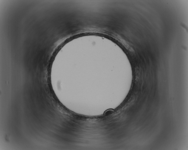 X0000096961264200803071043