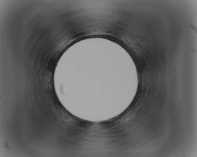 X0000096961265200803071043