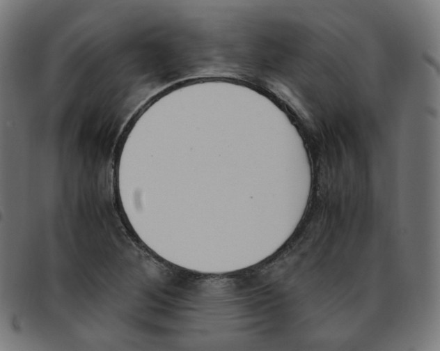 X0000096961268200803071043