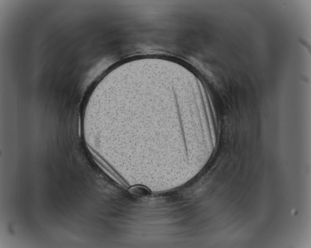 X0000096961269200803071043