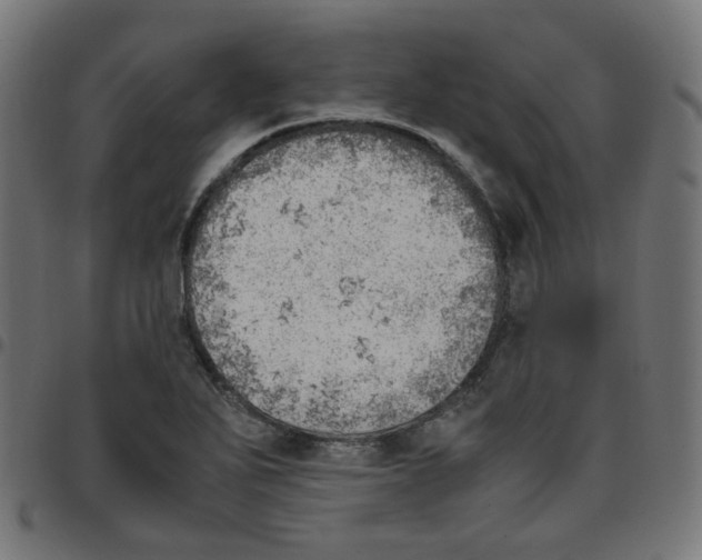 X0000096961271200803071043