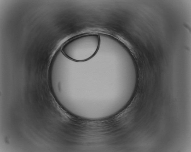 X0000096961272200803071043