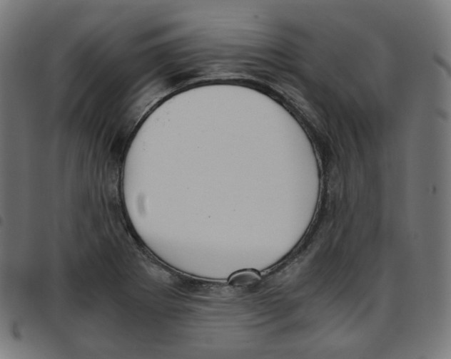 X0000096961273200803071043