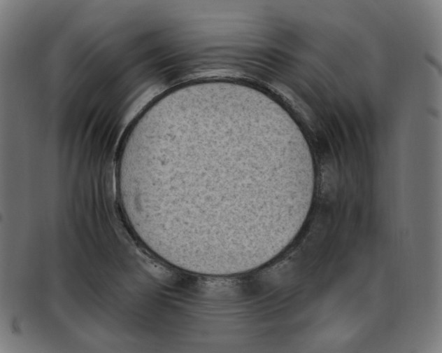 X0000096961274200803071043