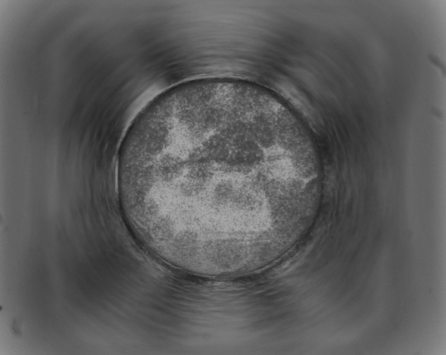 X0000096961275200803071043