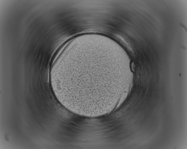 X0000096961276200803071043