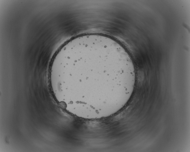 X0000096961278200803071043