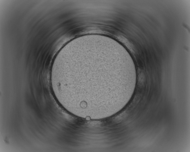 X0000096961282200803071042