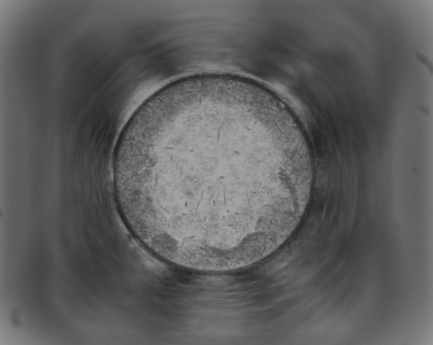 X0000096961287200803071042