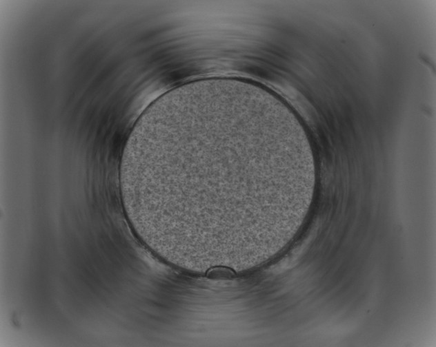 X0000096961289200803071042