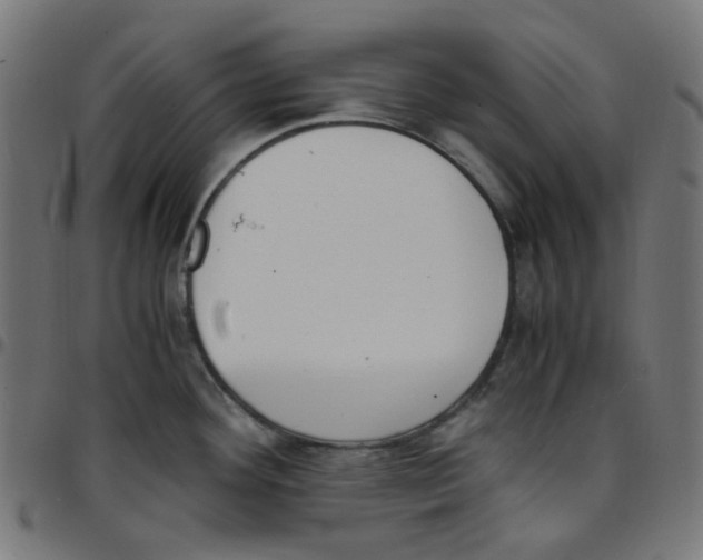 X0000096961292200803071042