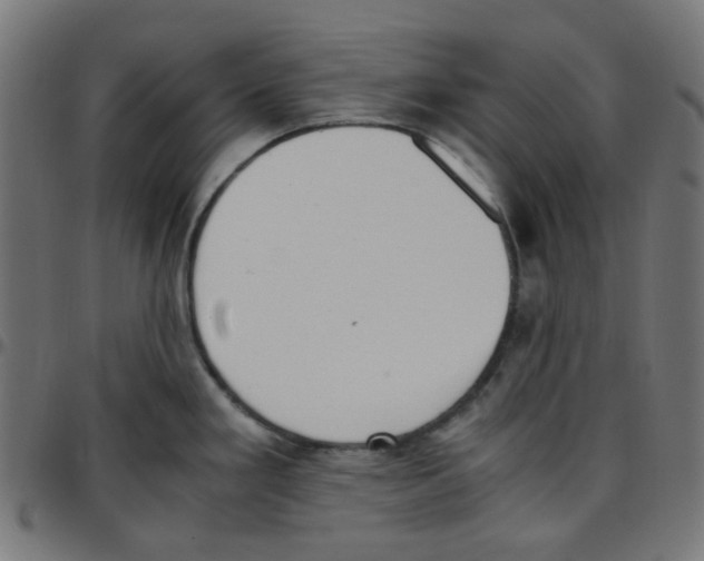 X0000096961293200803071042