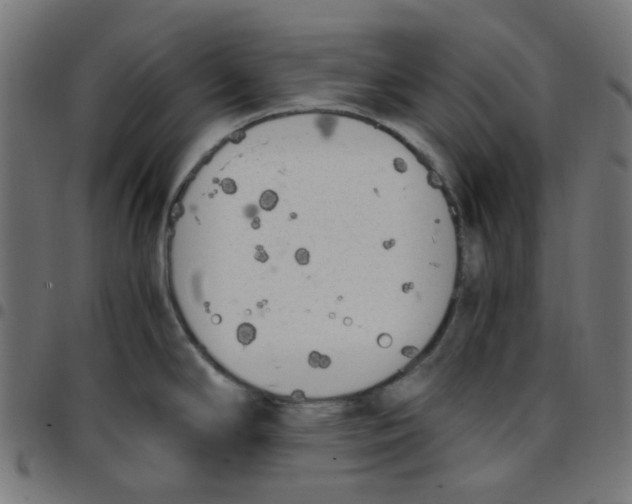 X0000096961294200803071042