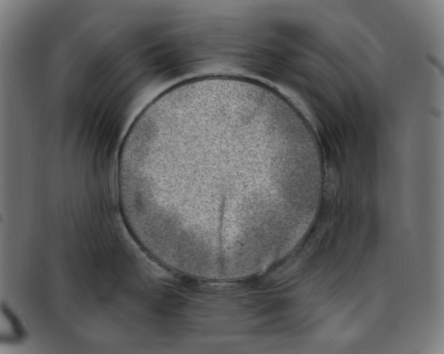 X0000096961295200803071042