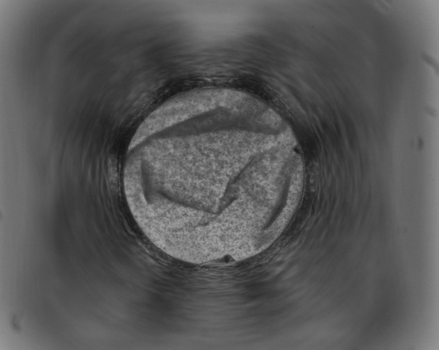 X0000096961298200803071041