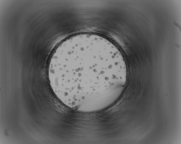 X0000096961308200803071042