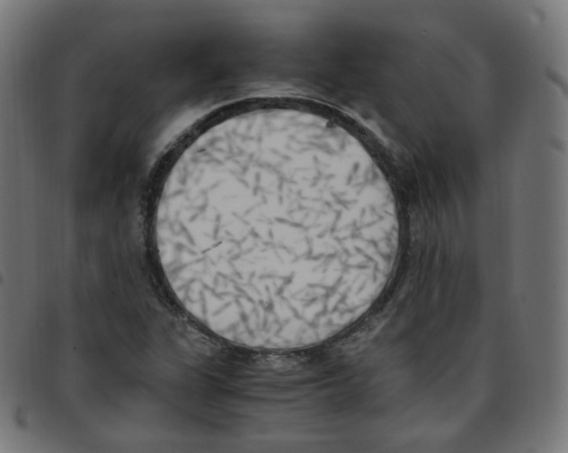 X0000096961311200803071042