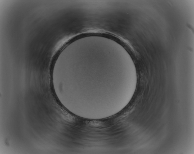 X0000096961319200803071042