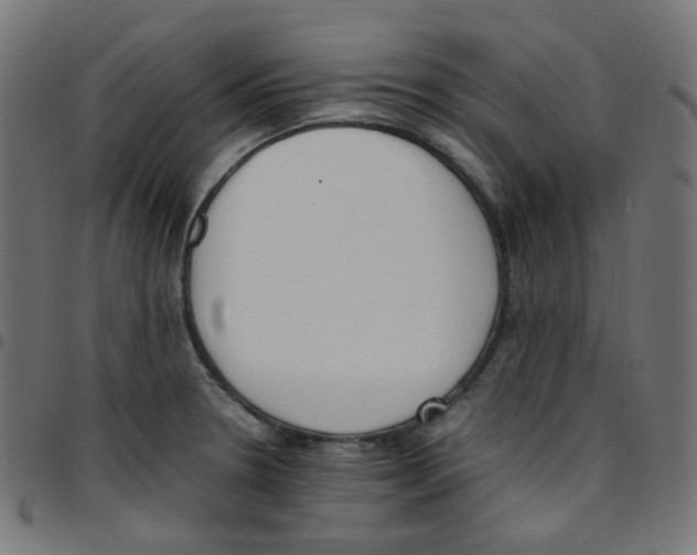 X0000096961330200803071042