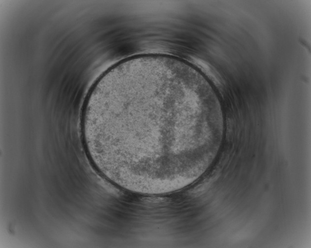 X0000096961331200803071042