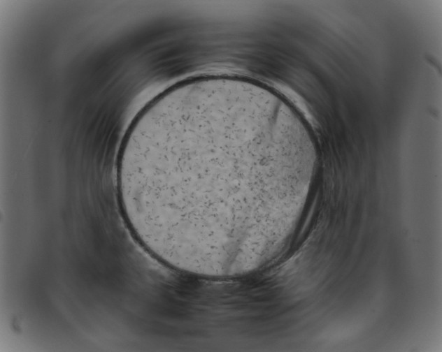 X0000096961335200803071042