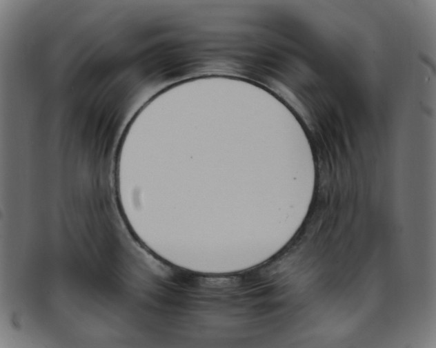 X0000096961339200803071042