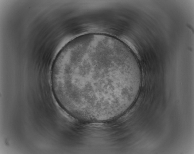 X0000096961342200803071042