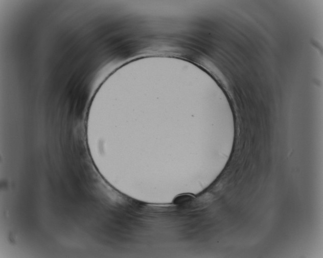 X0000096961344200803071042