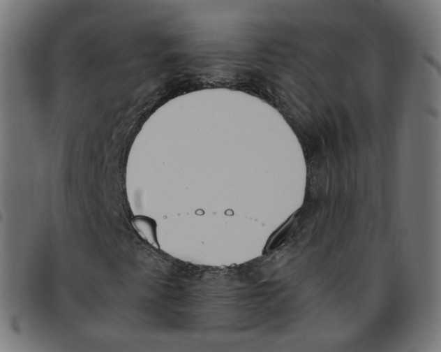 X0000096961345200803071041