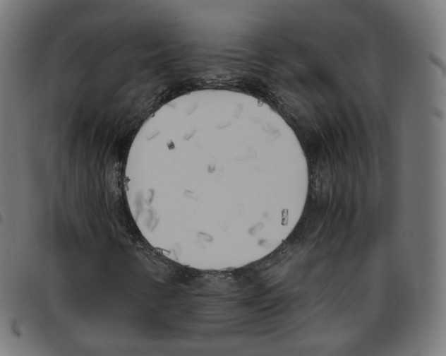 X0000096961346200803071041