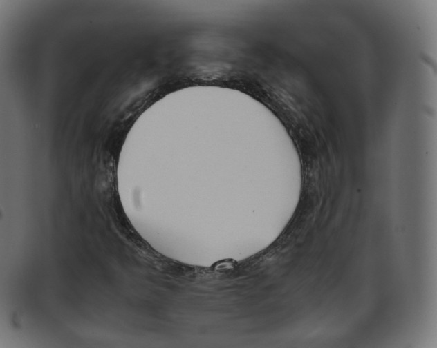 X0000096961349200803071041