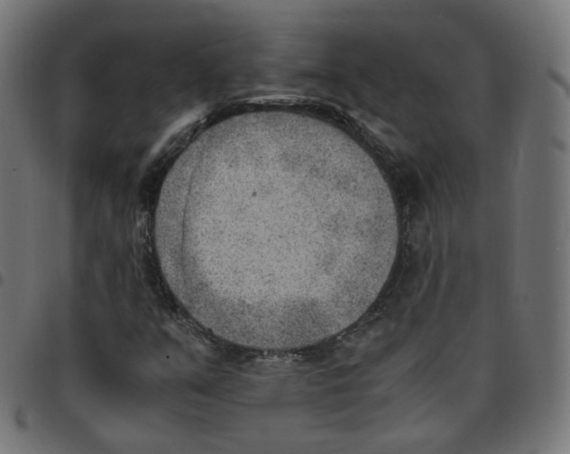 X0000096961351200803071041