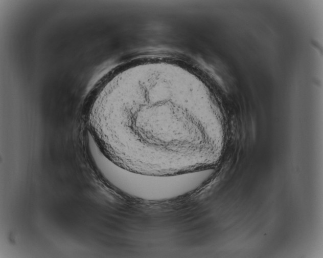 X0000096961352200803071041