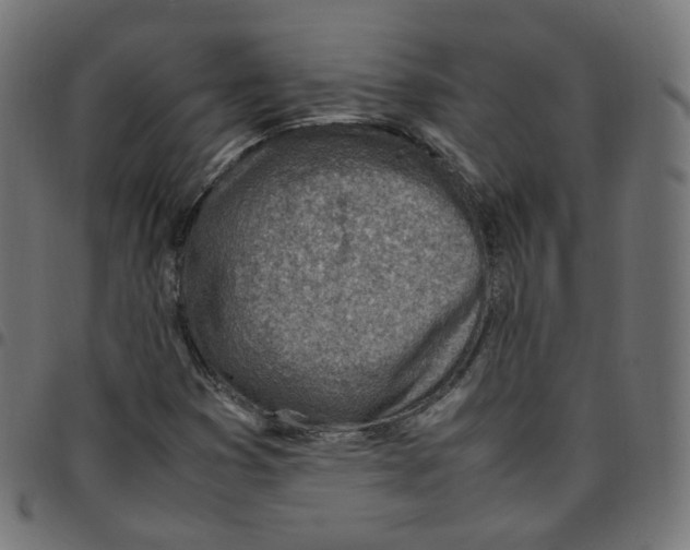 X0000096961353200803071041